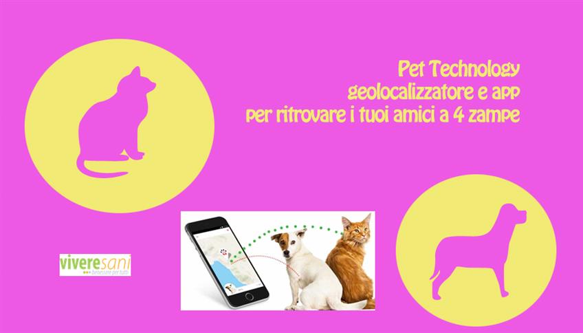 Pet e tecnologia